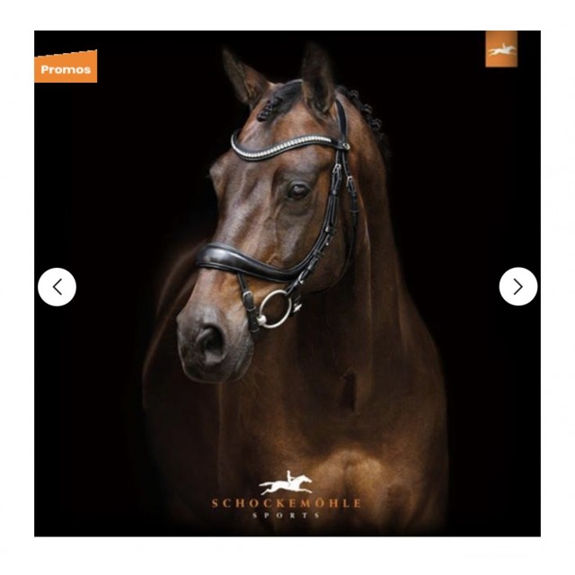 Bridon anatomique Equitus Beta Schockemöhle Taille cheval