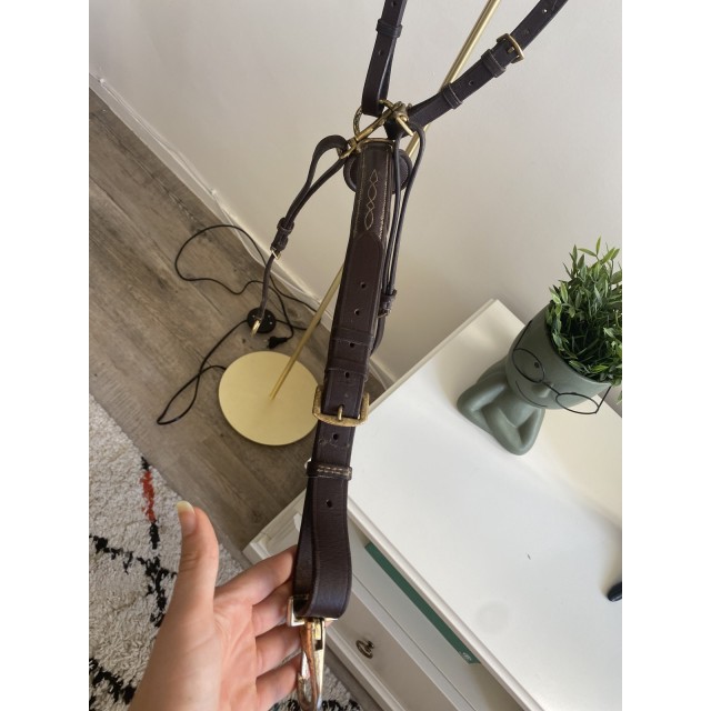 Collier de chasse + martingale