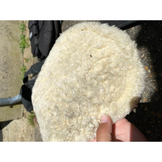 Sangle courte + protege sangle mouton