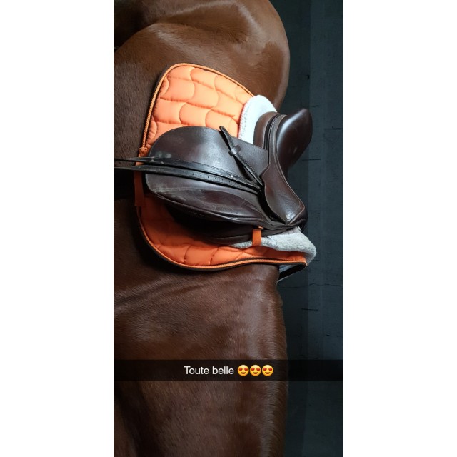 Selle