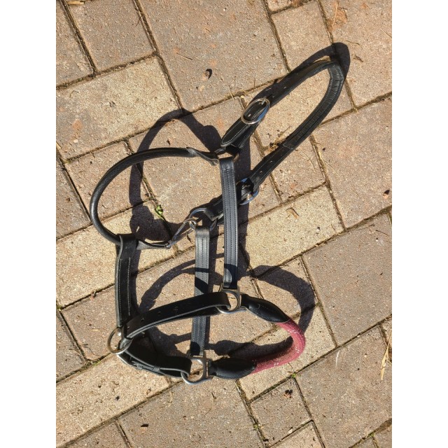 Licol canter muserolle en corde bordeaux