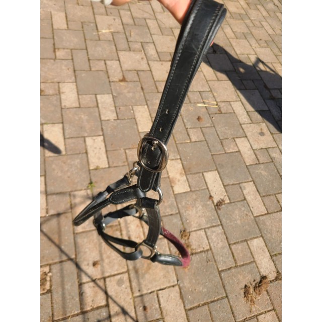 Licol canter muserolle en corde bordeaux