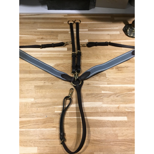 Collier de chasse + martinguale