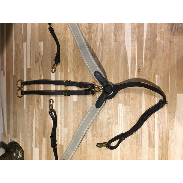Collier de chasse + martinguale