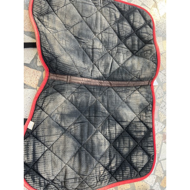 Tapis