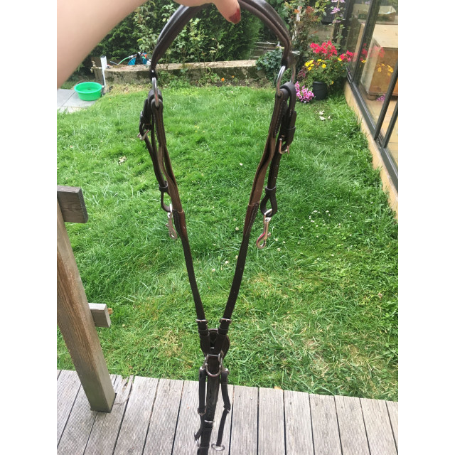 Collier de chasse verni Marron Privilège