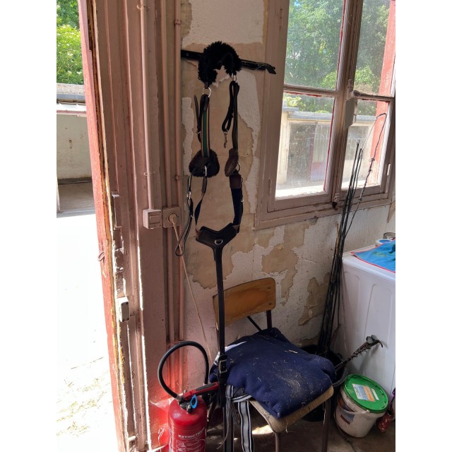 Collier de chasse 5 points