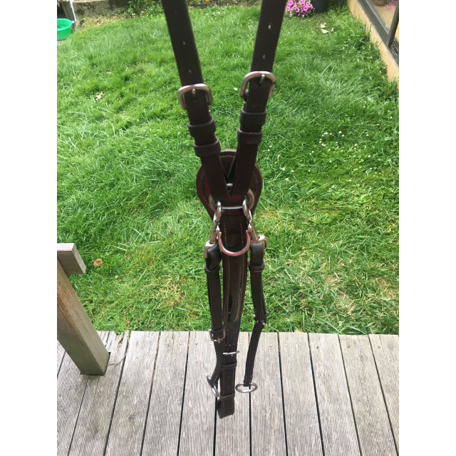 Collier de chasse verni Marron Privilège