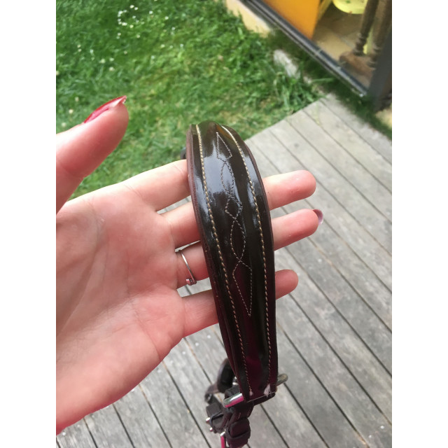 Collier de chasse verni Marron Privilège