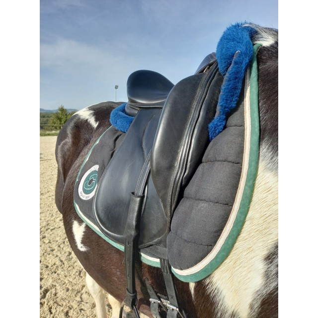 Selle dressage Belloir Saumur