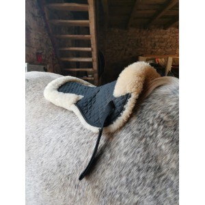 Amortisseur Horsefitform