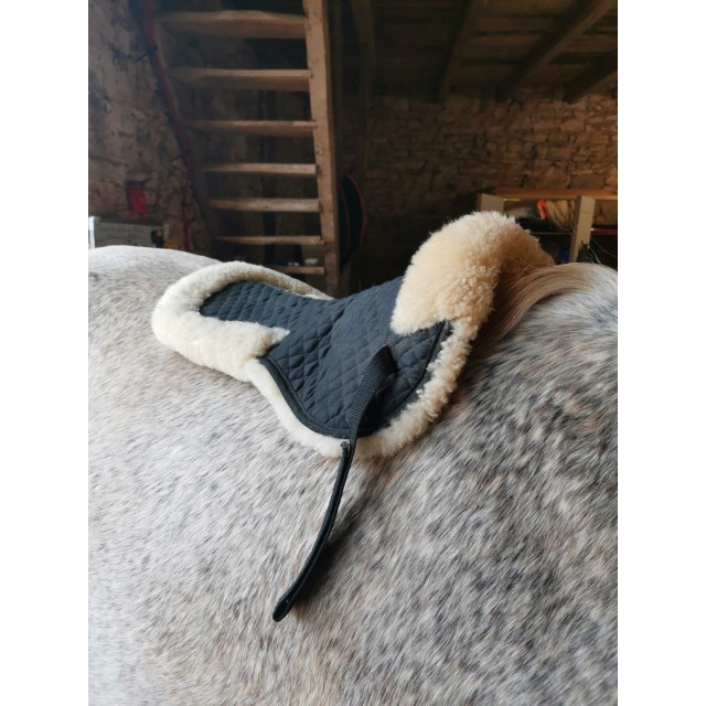 Amortisseur Horsefitform
