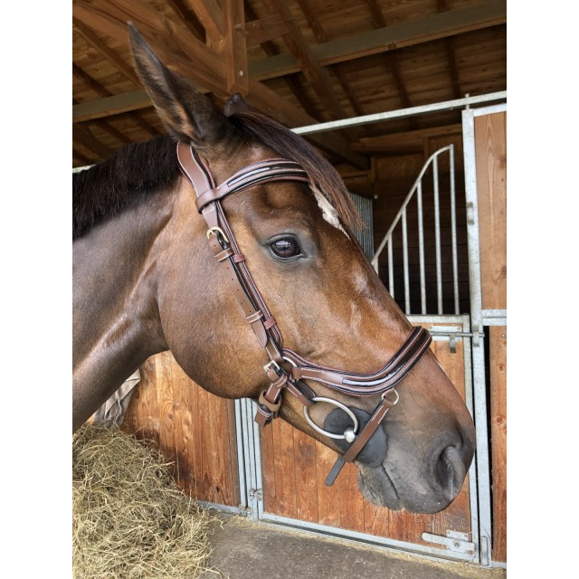 Filet anatomique Jump'in