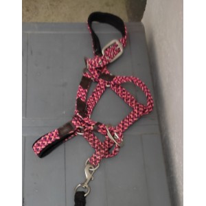 Licol fouganza rose et marron + longe marron