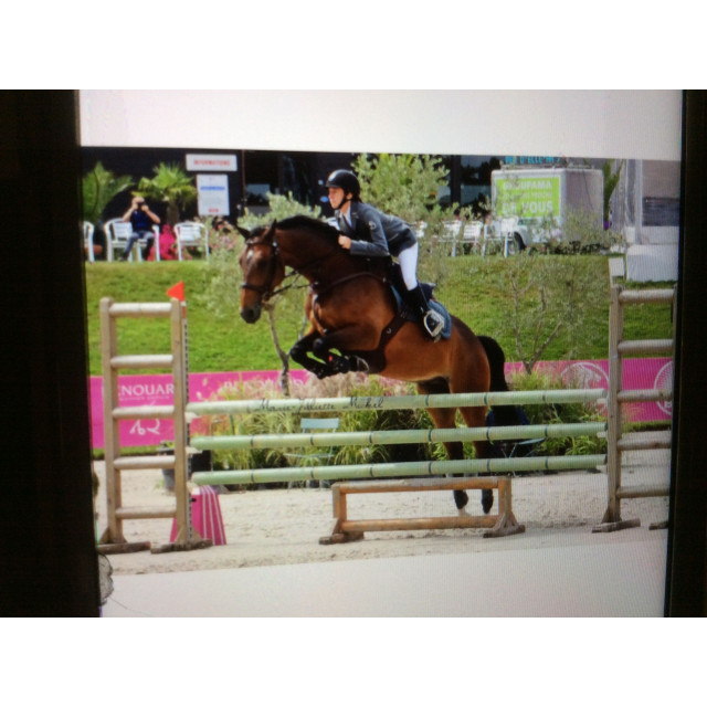 Veste de concours le sabotier grise