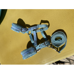 Ensemble licol + longe