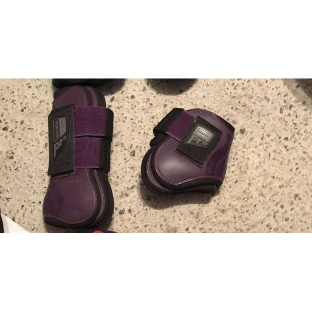 Protection Norton pro