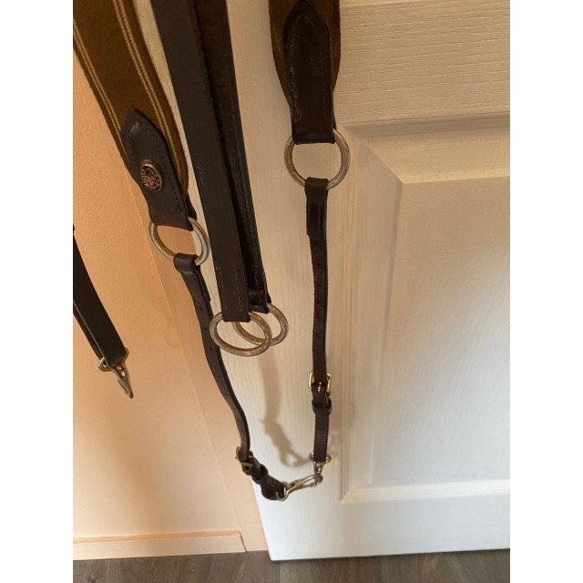 Collier de chasse + martingale ERIC THOMAS