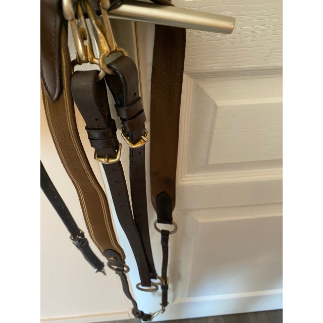 Collier de chasse + martingale ERIC THOMAS