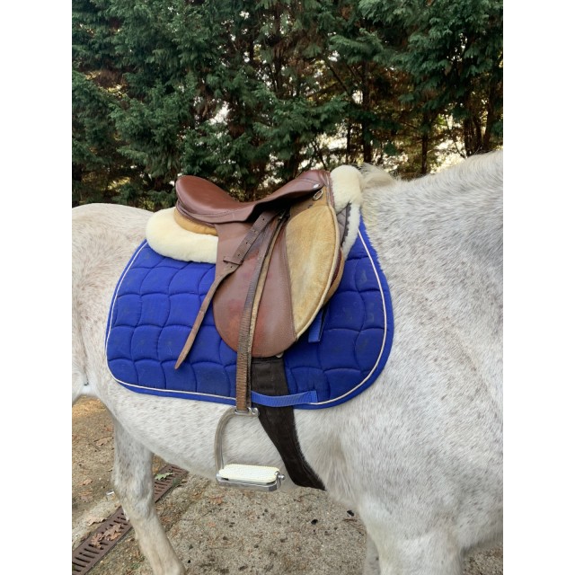 Selle cheval