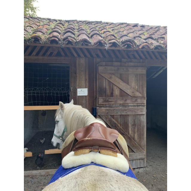 Selle cheval