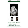 Bridon micklem