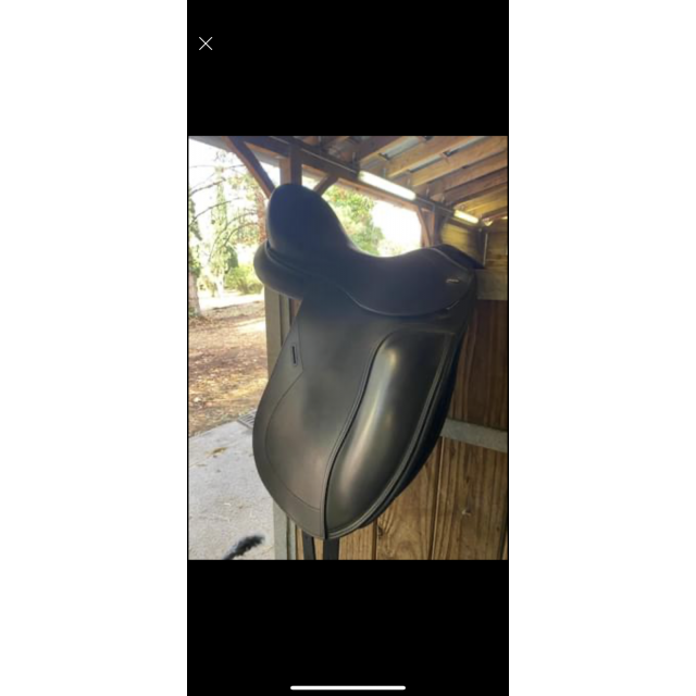 Selle Tekna dressage