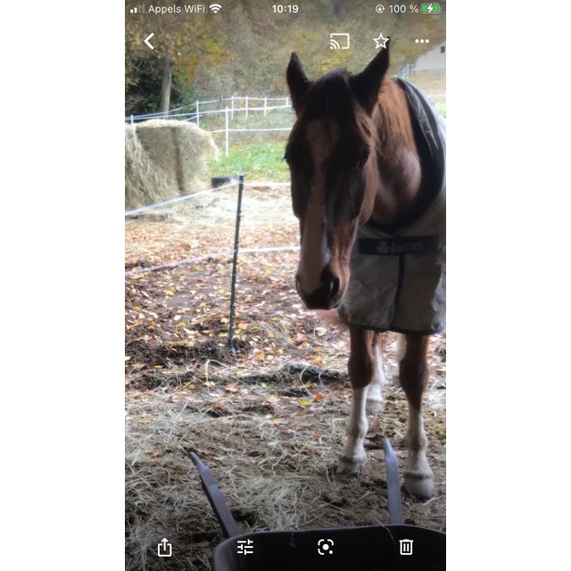 Couverture bucas power turnout extra