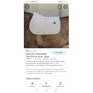 Tapis Kentucky pied de poule