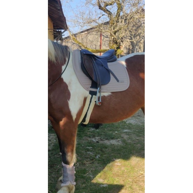 Ensemble de dressage eskadron