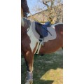 Ensemble de dressage eskadron