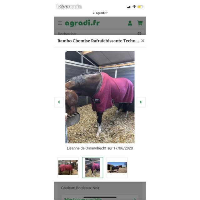 Chemise séchante horseware