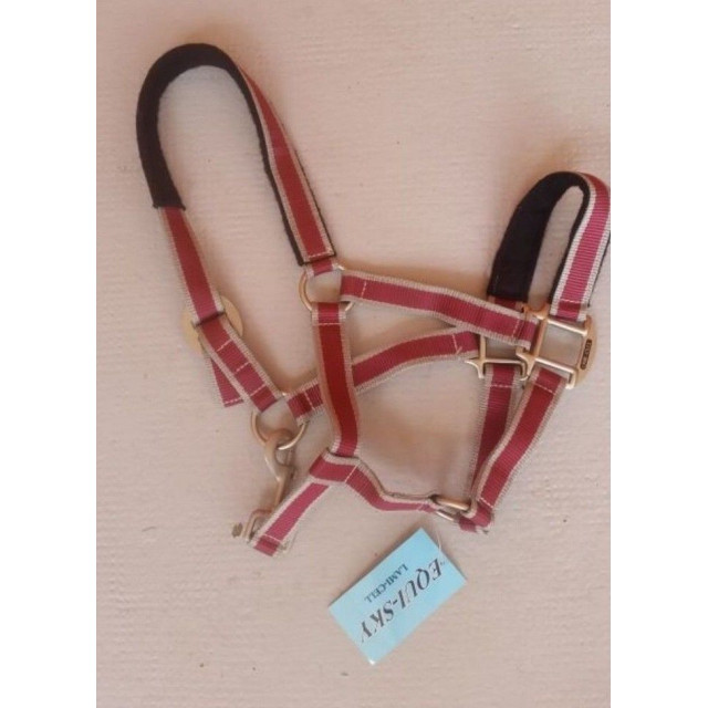 Licol neuf taille poney