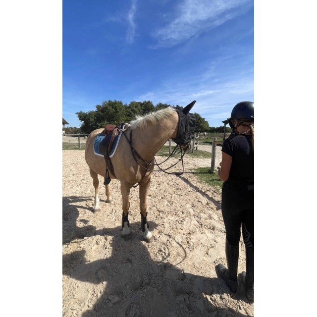tapis coupé pénélope leprevost bleu canard