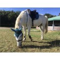 tapis coupé pénélope leprevost bleu canard