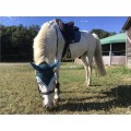 tapis coupé pénélope leprevost bleu canard