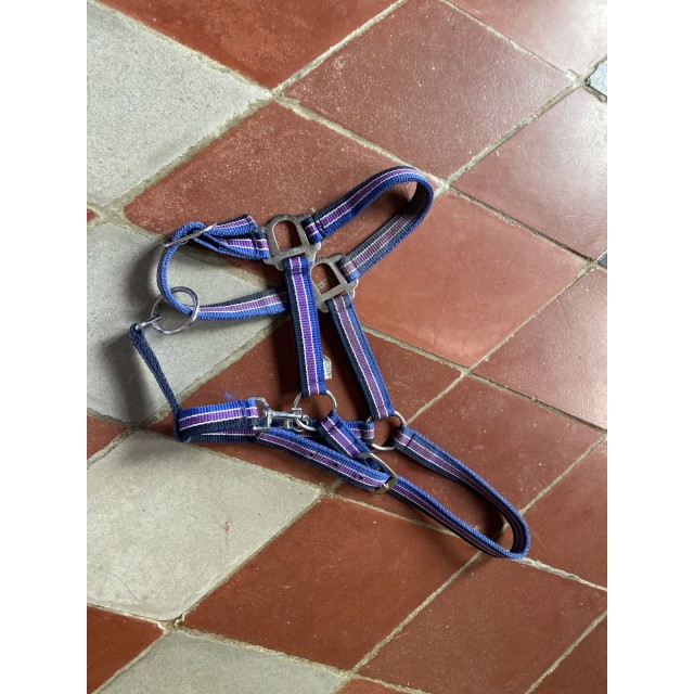 Licol taille poney