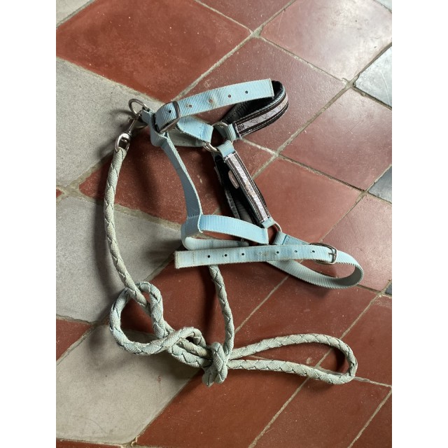 Licol taille poney
