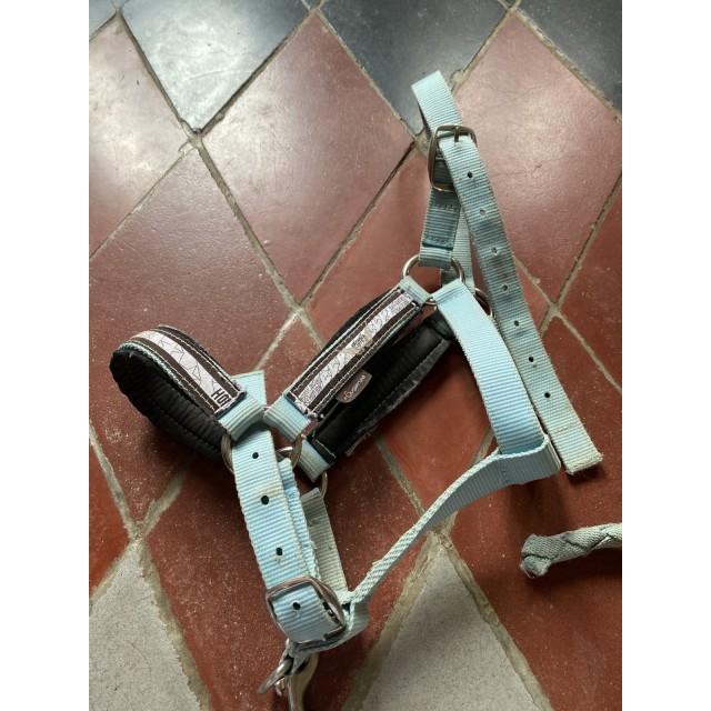 Licol taille poney