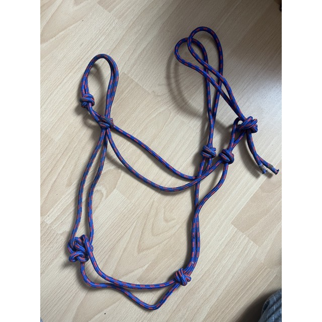 Licol Et Longe Pour Cheval Riding World Club - Polypropylène, Réglable, Couleur Bleu Roi, Longe 2.20 M