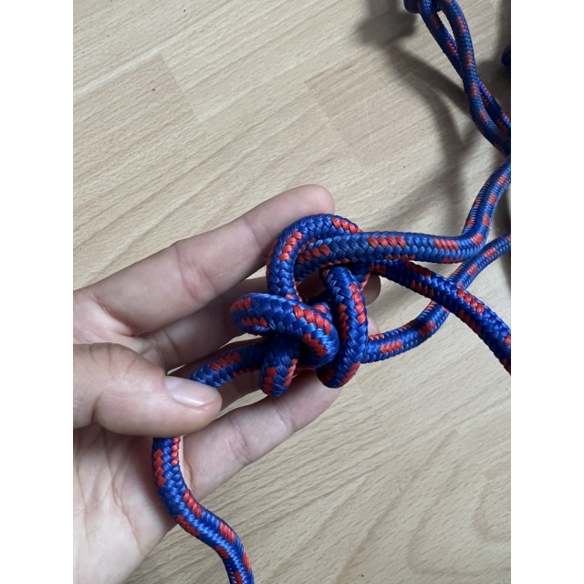 Licol éthologique bleu et rouge taille cheval