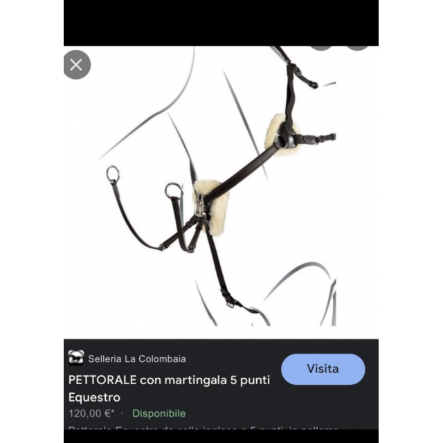 Collier de chasse avec mouton Equestro