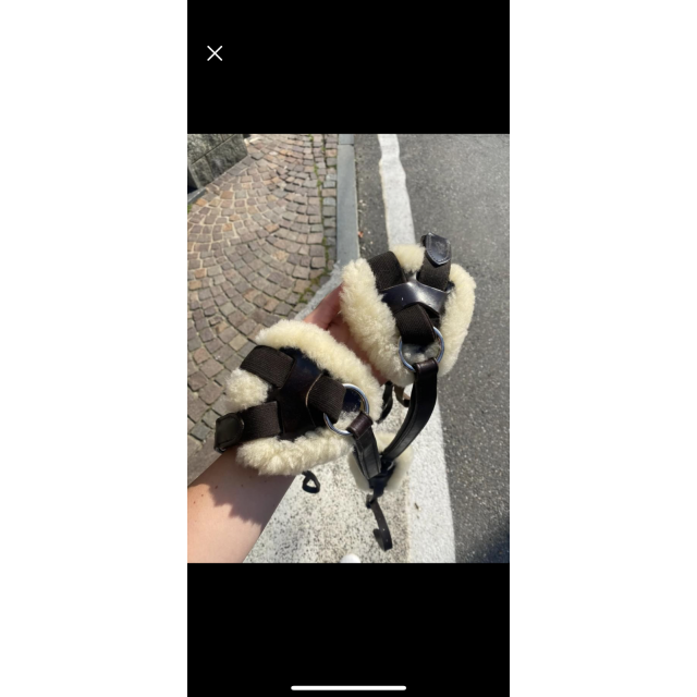 Collier de chasse avec mouton Equestro