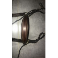 Collier de chasse Forestier