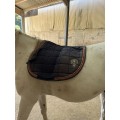 Tapis hv polo