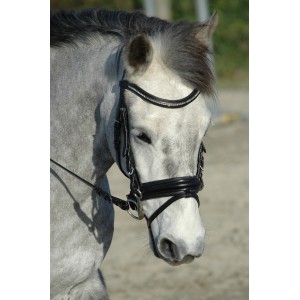 Bridon Schockemohle Paris poney