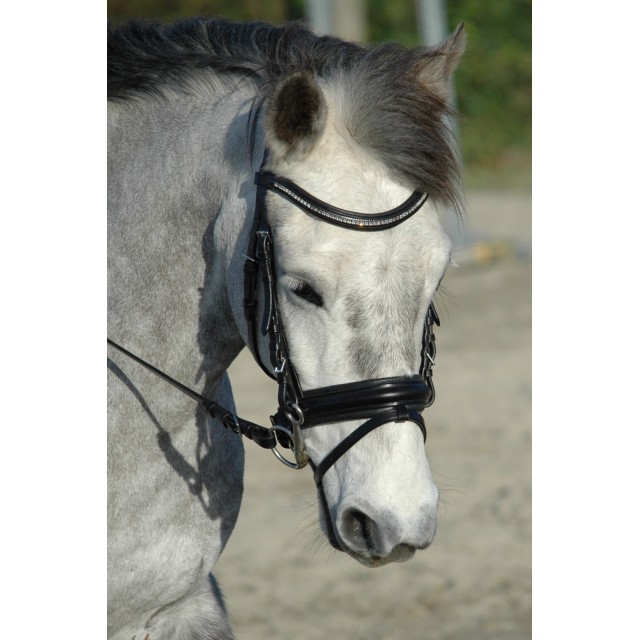Bridon Schockemohle Paris poney