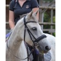 Bridon Schockemohle Paris poney