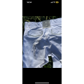 Pantalon de concours