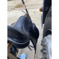 Selle de dressage Time rider